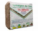 Sphaigne du Chili 1 KG